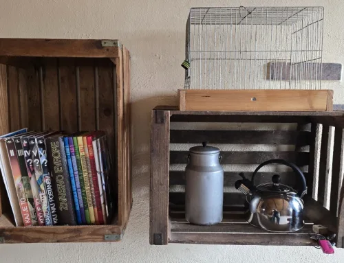 Escape room EXIT No.1: SOLVE AND FEED THE RABBIT